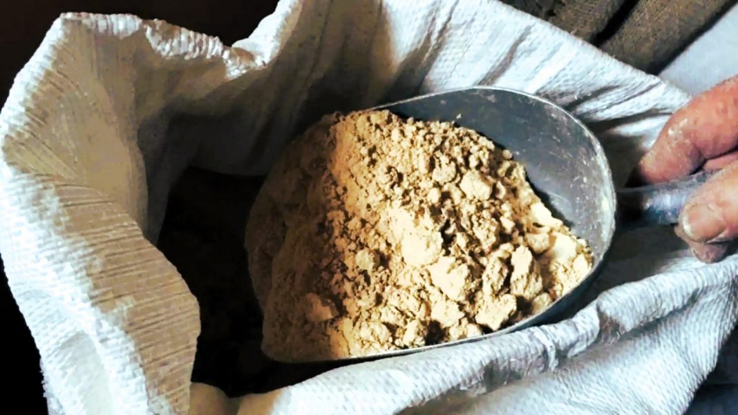 Gofio: Storia, Nutrizione e Tradizione delle Canarie Gofio: Storia, Nutrizione e Tradizione delle Canarie