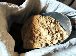 Gofio: Storia, Nutrizione e Tradizione delle Canarie