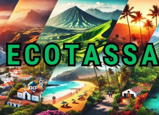 Canarie e la tassa turistica: un’opportunità da 420 milioni di euro