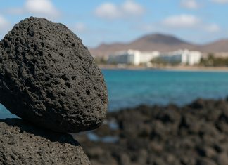 TURISMO PREDATORIO ALLE CANARIE