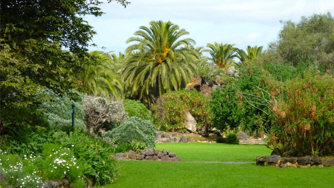 Il Giardino delle Meraviglie di Las Palmas Il Giardino delle Meraviglie di Las Palmas