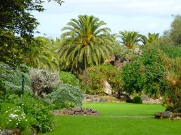 Il Giardino delle Meraviglie di Las Palmas