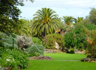 Il Giardino delle Meraviglie di Las Palmas