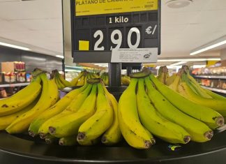 Il paradosso del platano canario