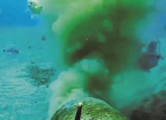 Scarichi illegali alle Canarie: la metà delle coste sotto assedio ambientale