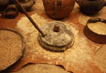 Il gofio, ostaggio di se stesso: quando le Canarie impongono i dazi ai propri prodotti.