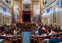 Lingua, identità e priorità: il Parlamento delle Canarie tra tutela e contraddizioni