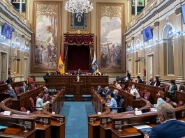 Lingua, identità e priorità: il Parlamento delle Canarie tra tutela e contraddizioni