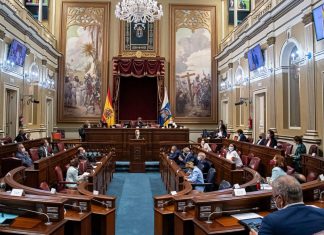 Lingua, identità e priorità: il Parlamento delle Canarie tra tutela e contraddizioni