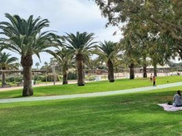 Vigilanza privata nei parchi di San Bartolomé de Tirajana