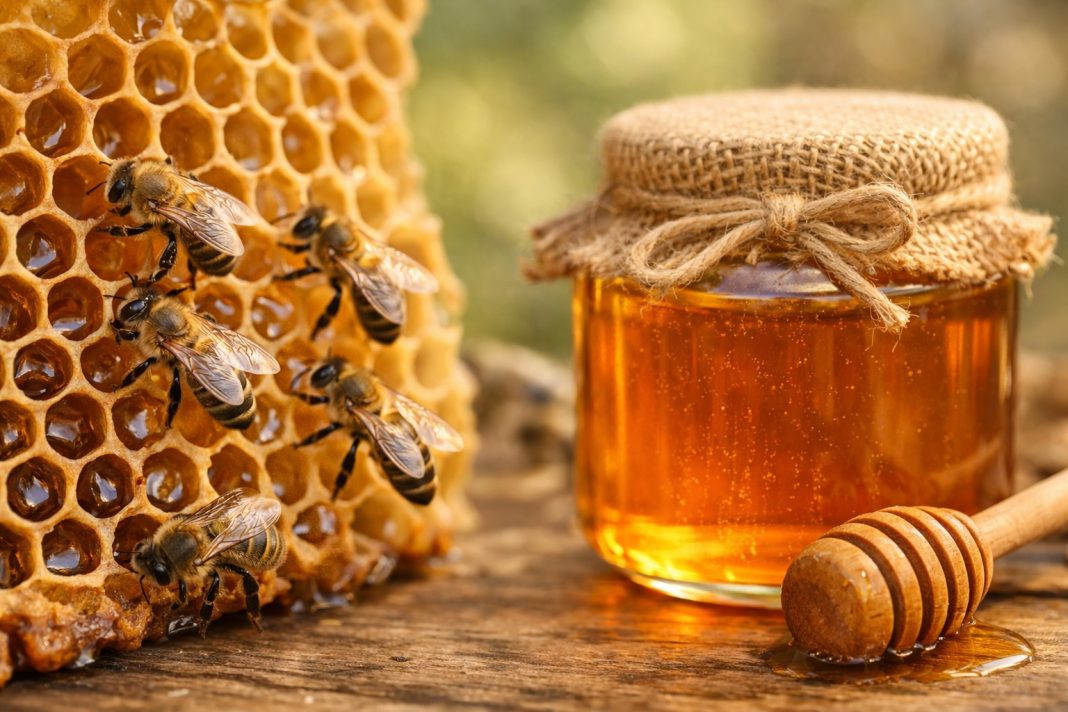 Moya, riconoscimento insulare per il miele di fiore di hortelanilla Moya, riconoscimento insulare per il miele di fiore di hortelanilla