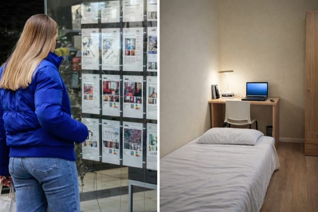 Cresce l’offerta di stanze in appartamenti condivisi alle Canarie, ma il prezzo non scende: media di 420 euro Cresce l’offerta di stanze in appartamenti condivisi alle Canarie, ma il prezzo non scende: media di 420 euro